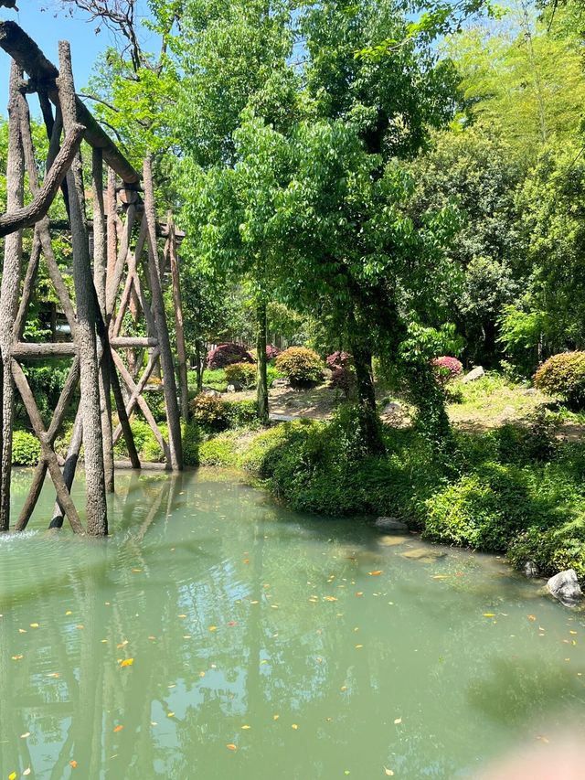 桐廬大奇山一日遊