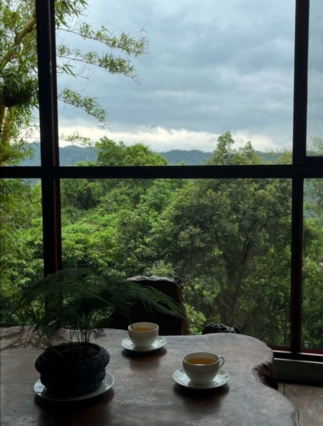 梅州雁南飛茶田景區