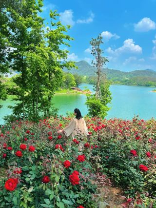 Recommended free flower viewing spots around Wuhan