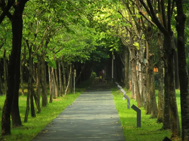 Daguan Wetland Park in Guangzhou