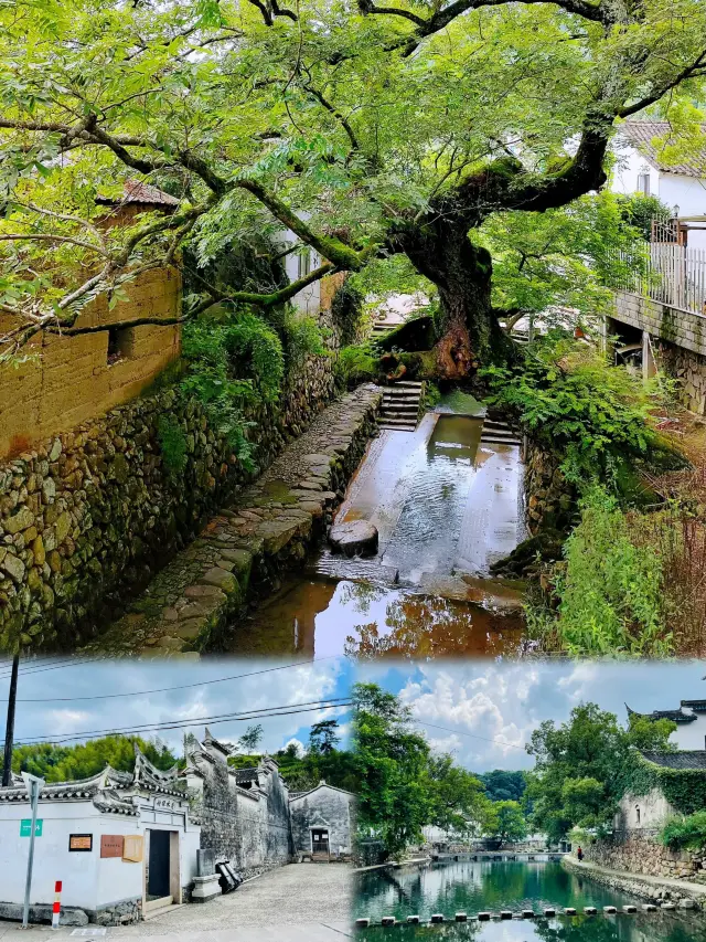 Hidden in the valleys of Ningbo, there lies an ancient village secluded from the world | Longgong Ancient Village