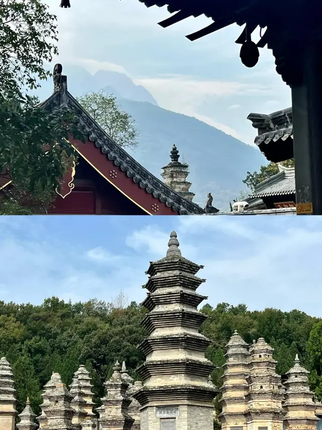 Dengfeng | A one-day tour of Mount Song without tiring your legs, a reliable route without detours