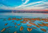 逐夢沙海，快艇奇旅：烏海沙漠的藍色狂想