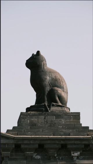 Shanxi Ancient Visit | A temple was built for a cat, worth a meow