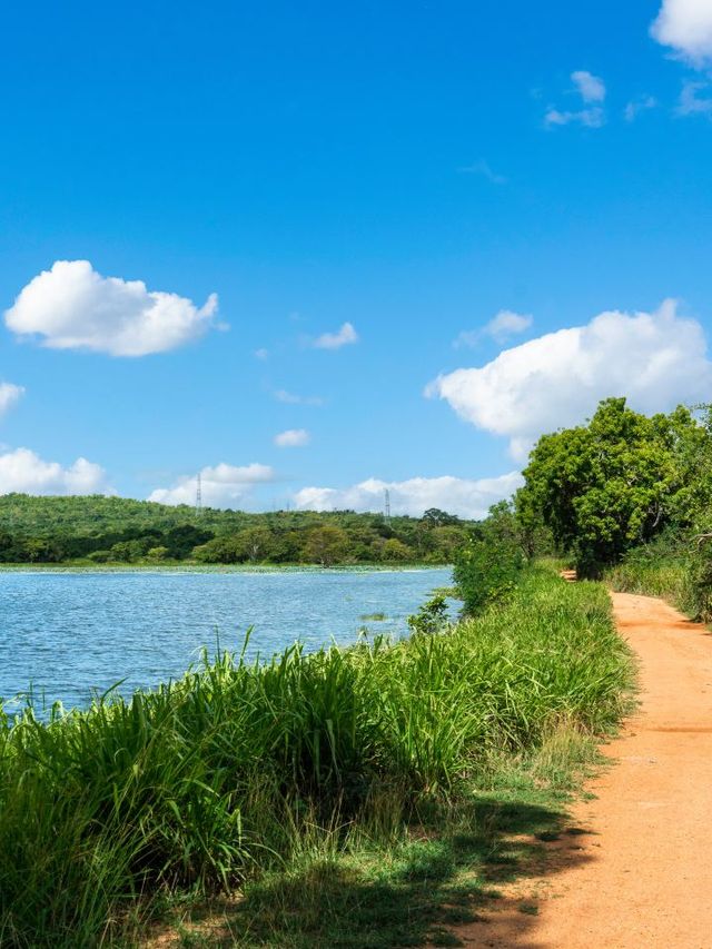 🌟 Sri Lanka's Hidden Gem: Taru Villas Maia 🌟