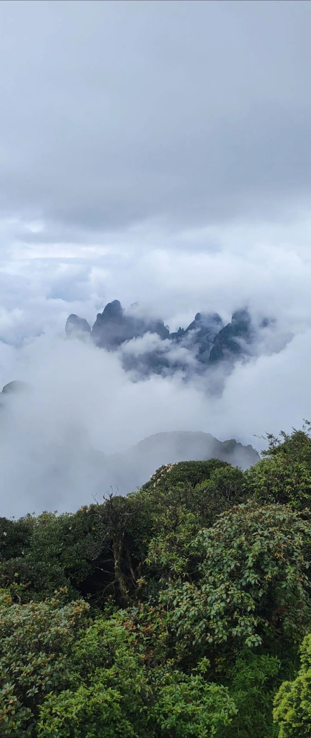 聖堂山
