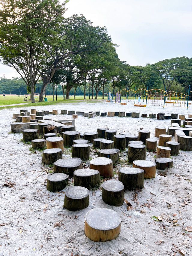Fun Times at West Coast Park Playground