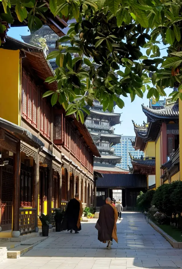 常州旅遊｜禪蹤之旅——天寧寺
