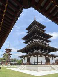 水稻田間，遙看藥師寺
