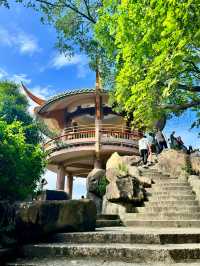 週末去哪兒019｜快閃塔山文化公園！