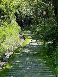 廈門洋麻山森林公園遊玩攻略！超詳細！