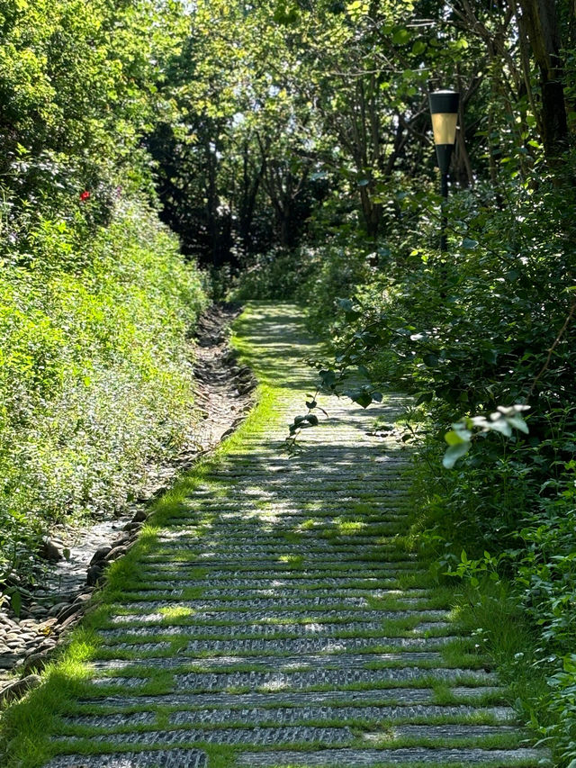 廈門洋麻山森林公園遊玩攻略！超詳細！