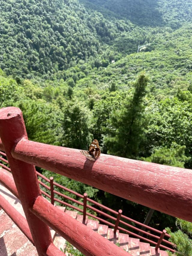 哈爾濱周邊遊|牡丹江鴛鴦峰哈爾濱小阿勒泰