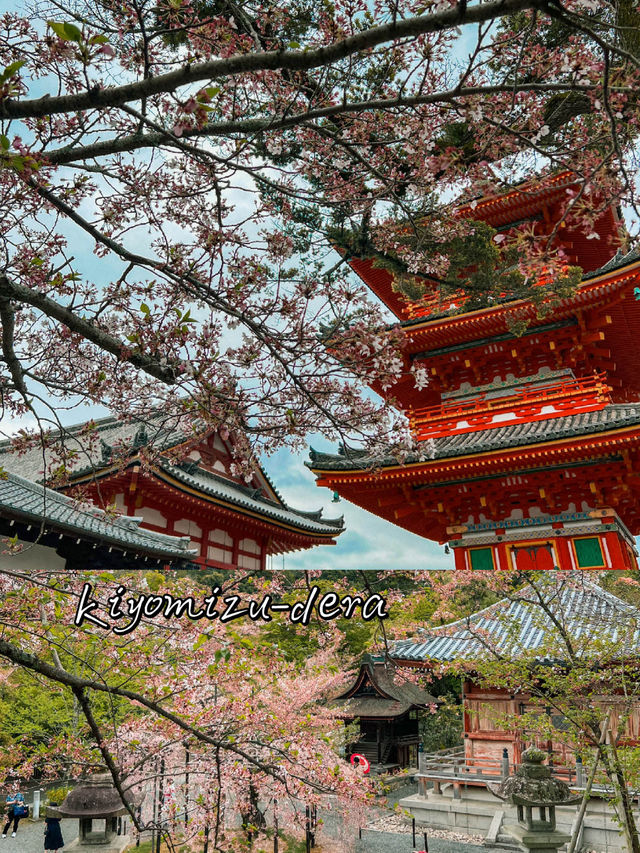 Kyoto: Best Cherry Blossom Photo Locations 🌸