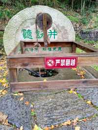 穿越千年金黃夢境，隨州銀杏谷絕美攻略來啦！