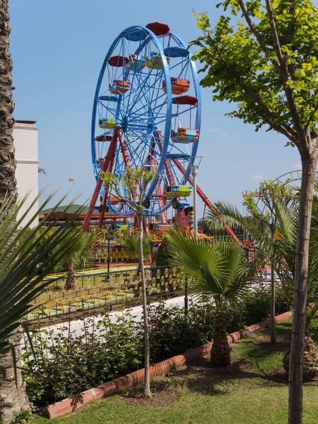 🌟🏨 Luxe Stays in Türkiye: Delphin Diva Premiere 🌊🛏️