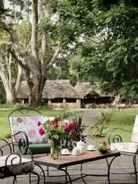 🌟🏞️ Arusha's Hidden Gem: Rivertrees Country Inn 🛏️✨