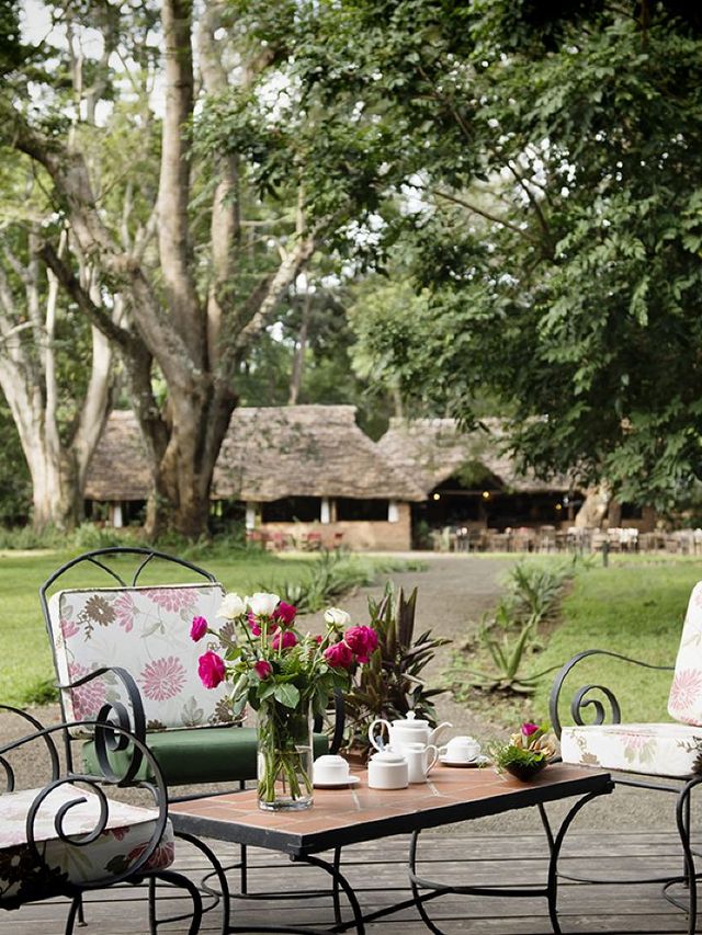 🌟🏞️ Arusha's Hidden Gem: Rivertrees Country Inn 🛏️✨