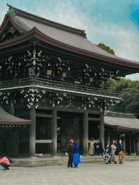 Meiji Jingu Shrine in Tokyo, Japan 🇯🇵⛩️ 