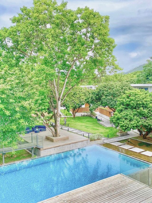 🌟 Guangzhou Getaway: Tranquil B&B Oasis 🏡✨
