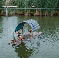 🌾 寧夏銀川沙湖：沙漠與湖水的奇妙融合