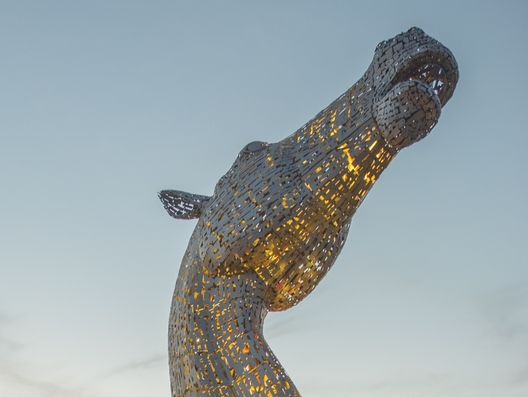 Come See This from ALL Angles and Light!