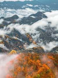 我宣布這就是四川的秋景天花板。