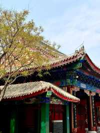 天津媽祖文化園｜0元欣賞海景公園超震撼。