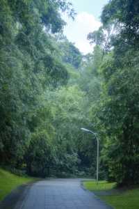 喺深圳｜落雨嘅日子令我悄悄躲入咗精神避難所～