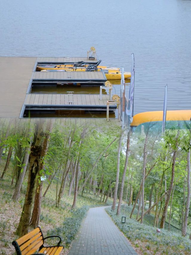 成都南門的免費森林公園，簡直是城市中的寶藏之地   【永安湖城市森林公園】 位置：位於成都雙流區。