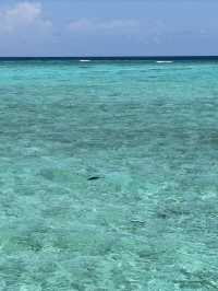 馬爾代夫選島成功。