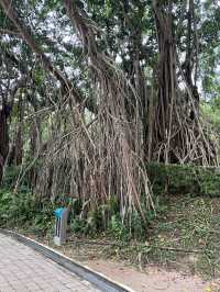 A stunning city centre park surrounded by iconic landmarks, KLCC Park