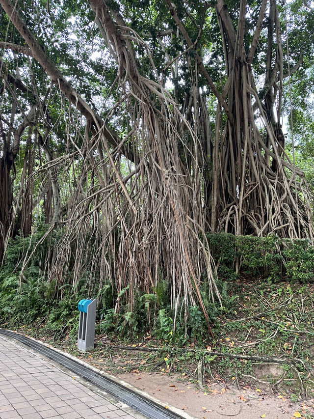 A stunning city centre park surrounded by iconic landmarks, KLCC Park