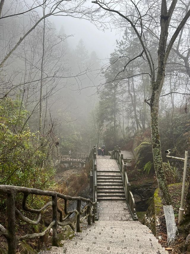 麗水金礦山公園丨黃金之旅。