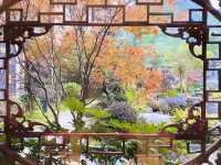 劍河溫泉城，秋日里紅葉滿園，美不勝收。