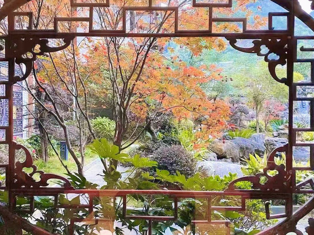 劍河溫泉城，秋日里紅葉滿園，美不勝收。