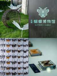 崇明遛娃｜免費的小眾樂園。