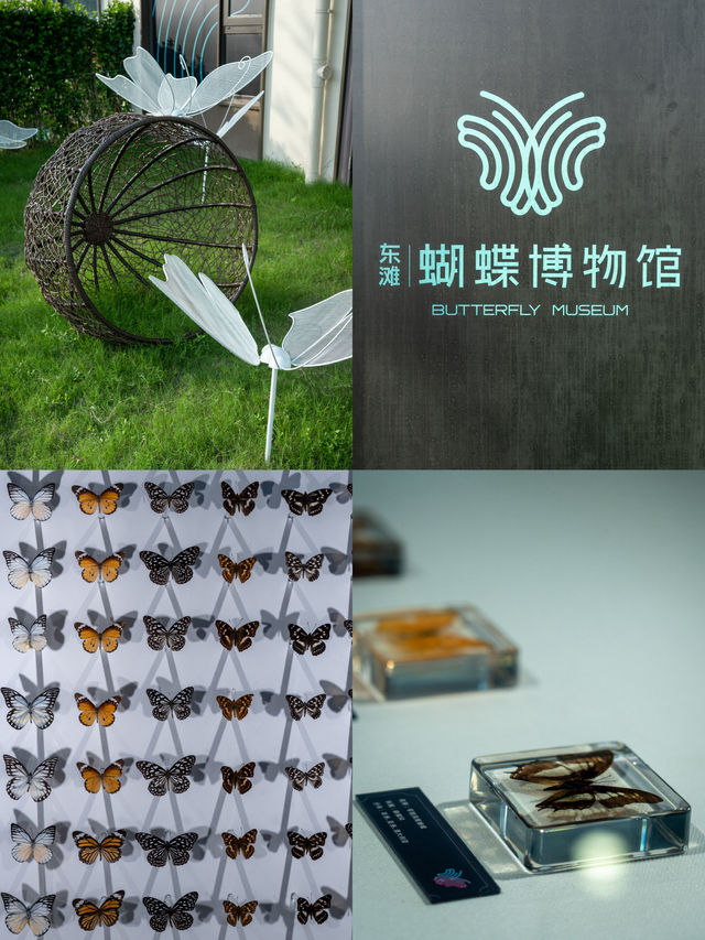 崇明遛娃｜免費的小眾樂園。