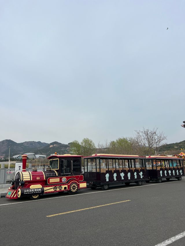 總要來一趟青島園藝博覽園。