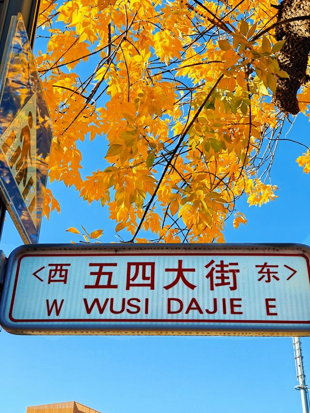 北京|五四大街葉子漸漸黃了。 北京|五四大街葉子漸漸黃了。