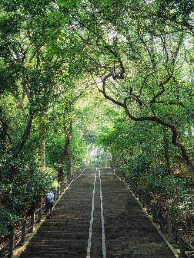 上海的另一座雙子山，我猜你可能已經忘卻了……||。