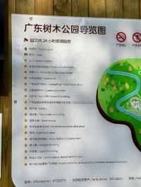 廣州天河區樹木公園|地鐵直達的草地溪流森林地。