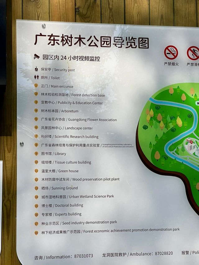廣州天河區樹木公園|地鐵直達的草地溪流森林地。