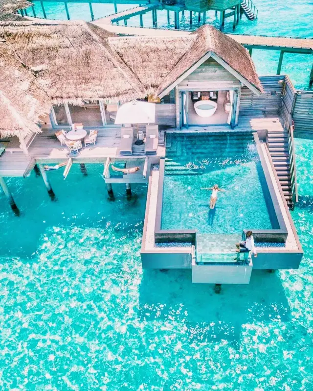 몰디브 다이빙 명소.