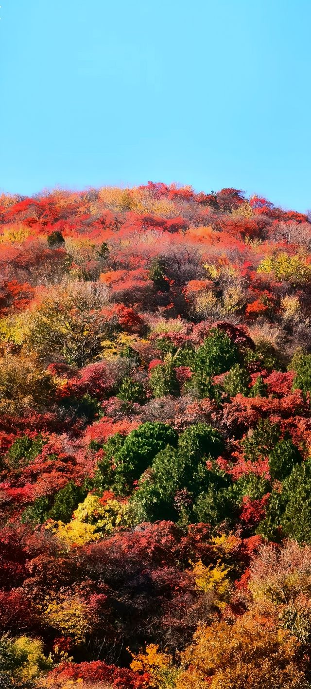 北京西山國家森林公園：自然之美，心靈之旅！