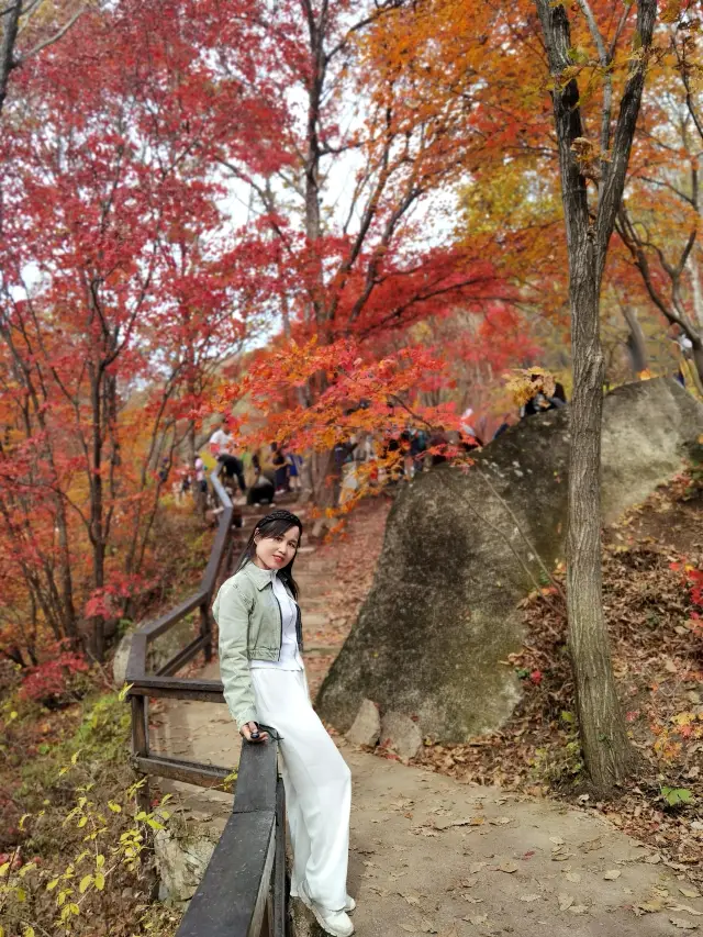 Maple Viewing in Benxi - Laobiangou Scenic Area