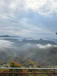 鎮安海棠山|雲海深處見海棠。