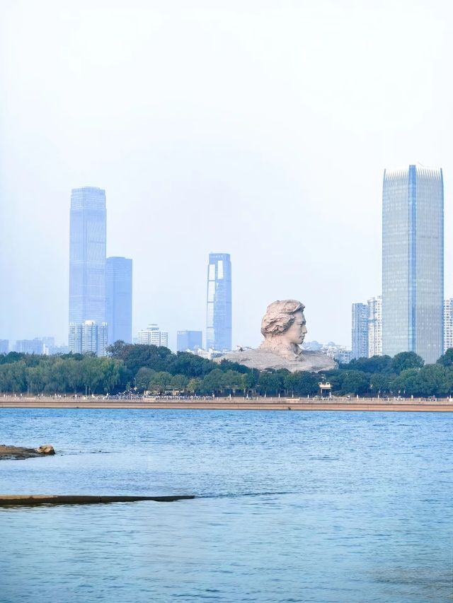 實況！！長沙的秋日蘆葦已經殺瘋了！。
