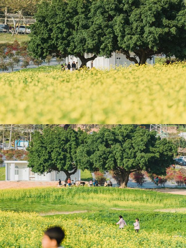 廈門適合一個人無聊閒逛的地方。