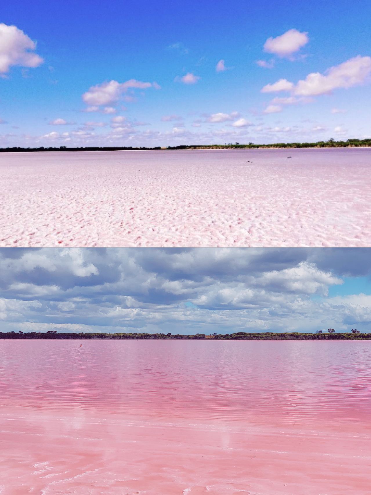 Australia's autumn is breathtakingly beautiful, don't miss it. 
